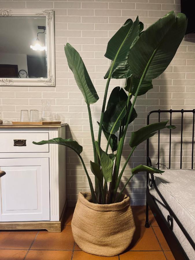 Casatua Apartman Treviso Kültér fotó